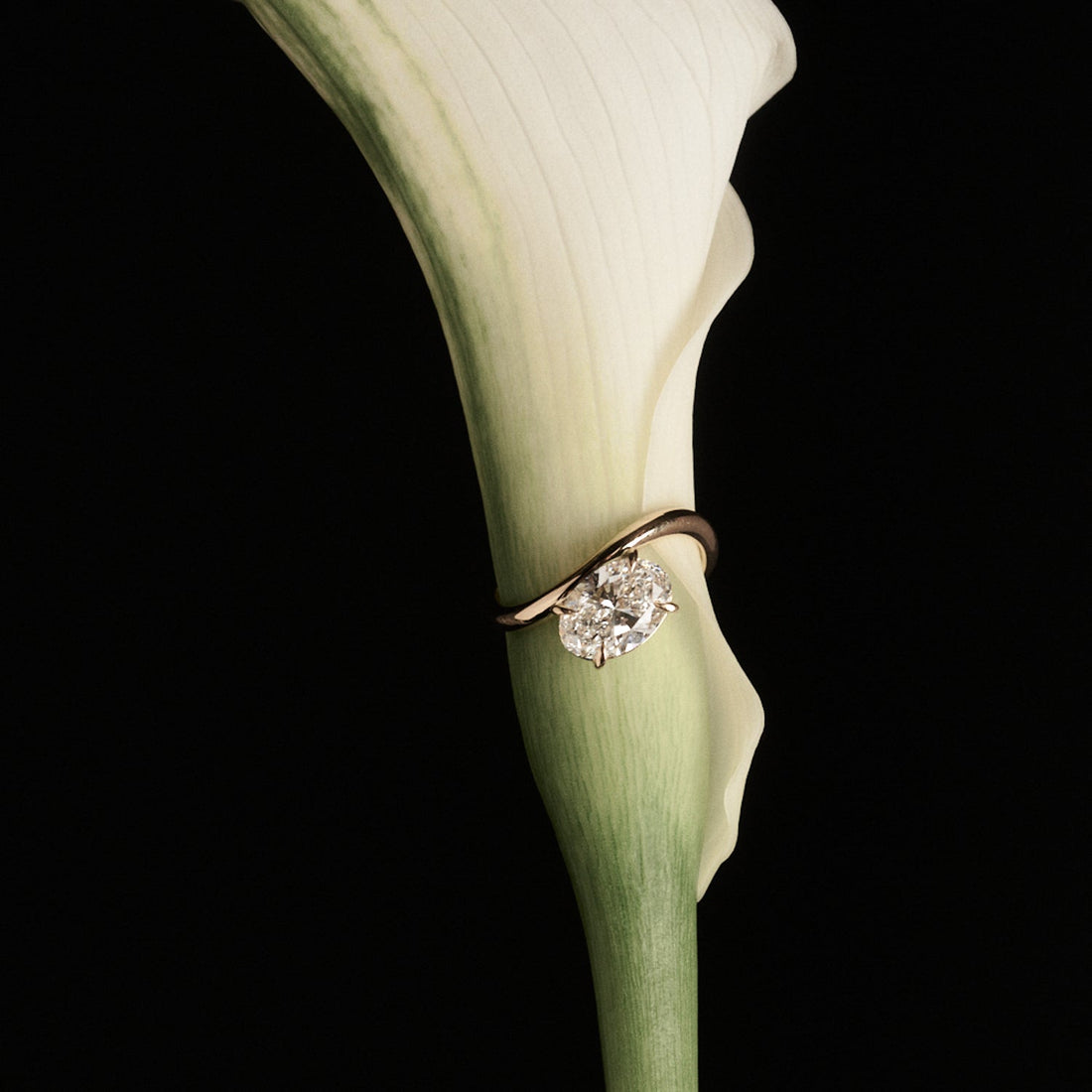 Awa Offset | Oval Offset Solitaire Lab-Grown Diamond Engagement Ring